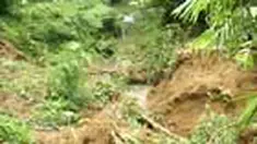 Longsor terjadi ketika tiga bersaudara tengah mencari rumput laut di bawah tebing setinggi 25 meter. Kuat dugaan, tanah di sekitar tebing labil akibat hujan yang terus mengguyur wilayah Pakis, Magelang, Jateng. 