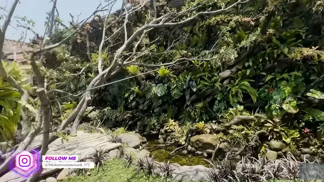Model Kolam di Taman Rumah Soimah