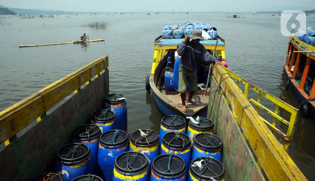 Petani melakukan bongkar muat hasil panen ikan bawal air tawar yang akan dibawa ke Pasar Ikan Muara Angke Jakarta dari Waduk Cirata di kawasan Desa Gudang, Cikalong Kulon, Cianjur, Jawa Barat, Senin (29/8/2022). Sejumlah petani ikan air tawar di kawasan Waduk Cirata sudah lebih dari dua bulan menjerit karena kenaikan harga pakan ikan dari Rp 8.500/kg menjadi Rp 10.500/kg sementara harga ikan bawal konstan Rp 14.500/kg di tingkat petani. (merdeka.com/Arie Basuki)