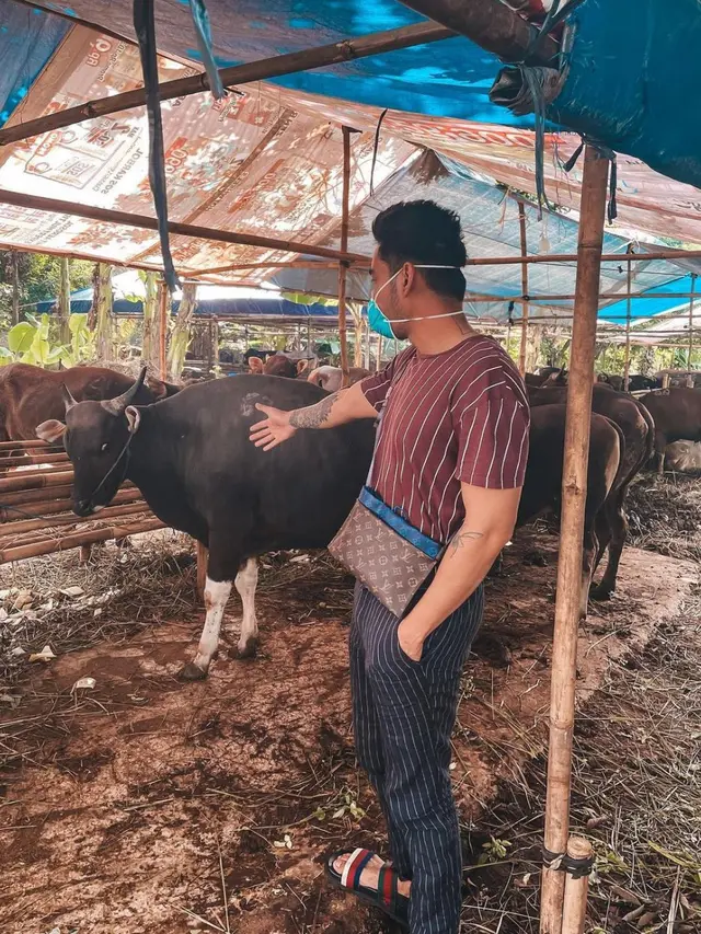 6 Potret Selebriti Berburu Hewan Kurban, Raffi Ahmad Beli Sapi Jumbo