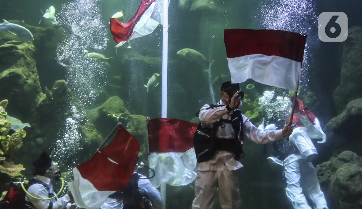 Penyelam mengibarkan bendera Merah Putih saat gladi resik HUT ke-75 RI dalam akuarium Sea World Ancol, Jakarta, Sabtu (15/8/2020). Taman Impian Jaya Ancol akan memperingati HUT ke-75 RI dengan mengibarkan bendera Merah Putih dalam akuarium Sea World pada 17 Agustus 2020. (Liputan6.com/Johan Tallo)