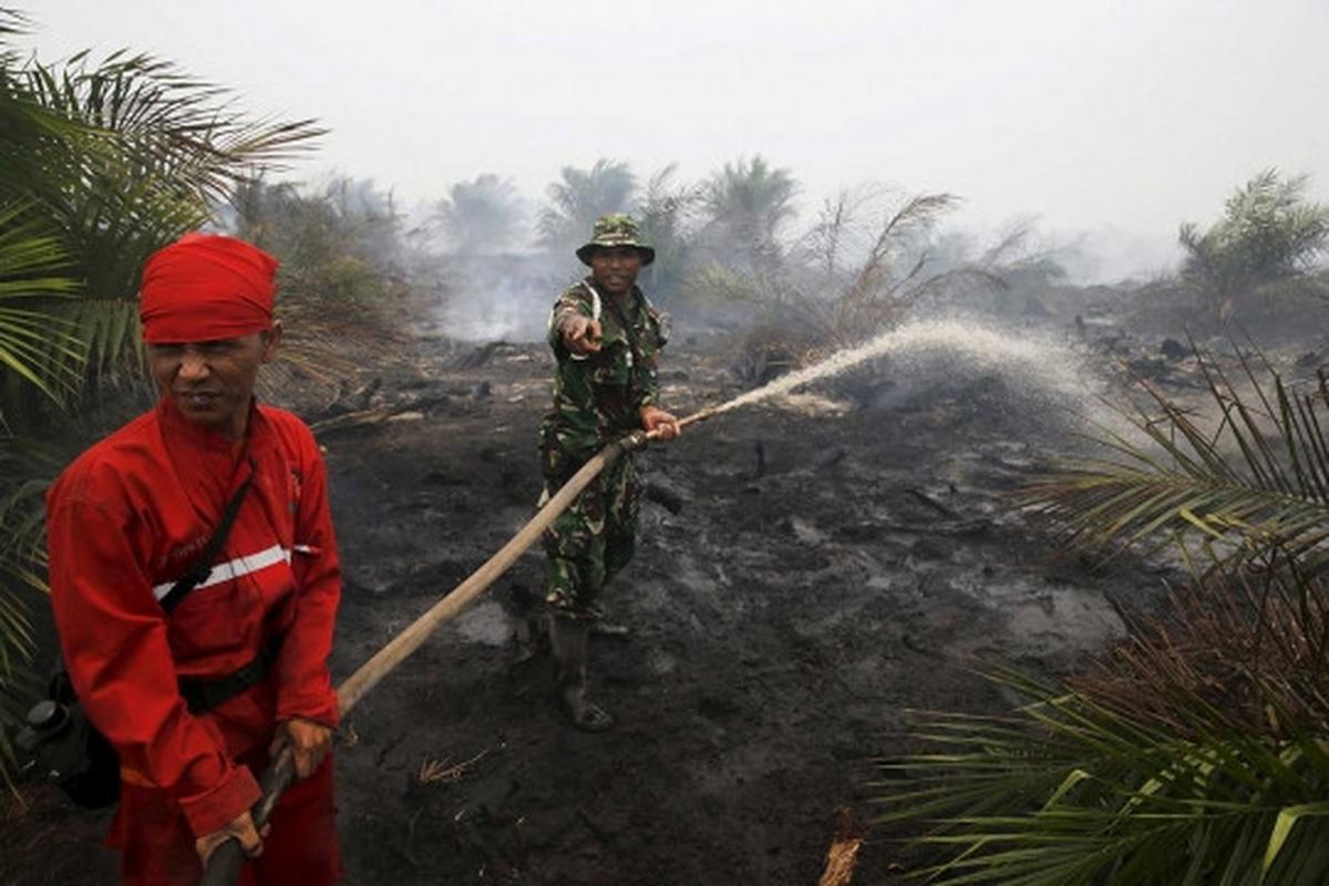 Aksi TNI jinakkan kabut asap di Sumsel