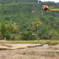 [Youtube/Village Caucasians]