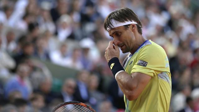 David Ferrer