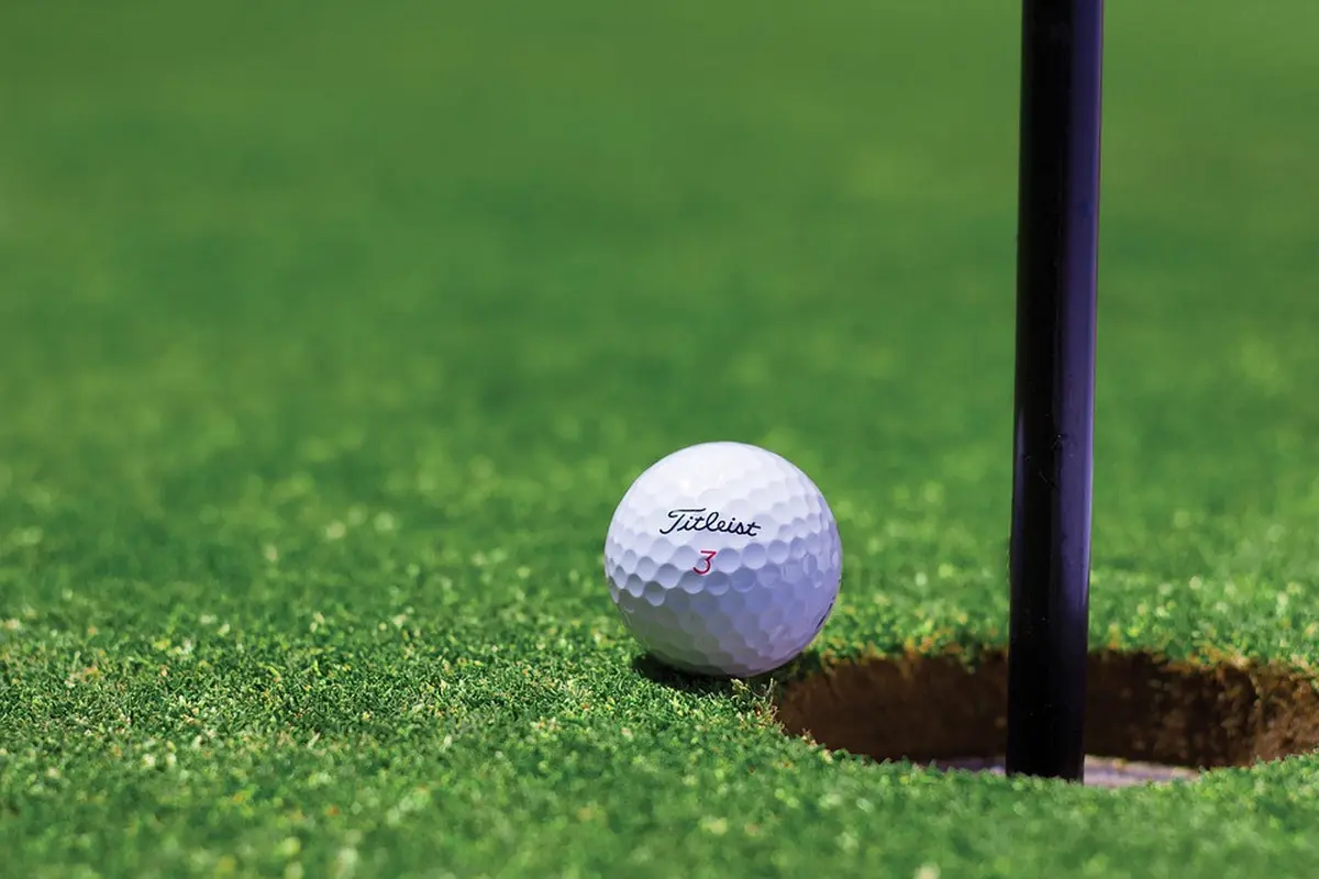 Ilustrasi golf