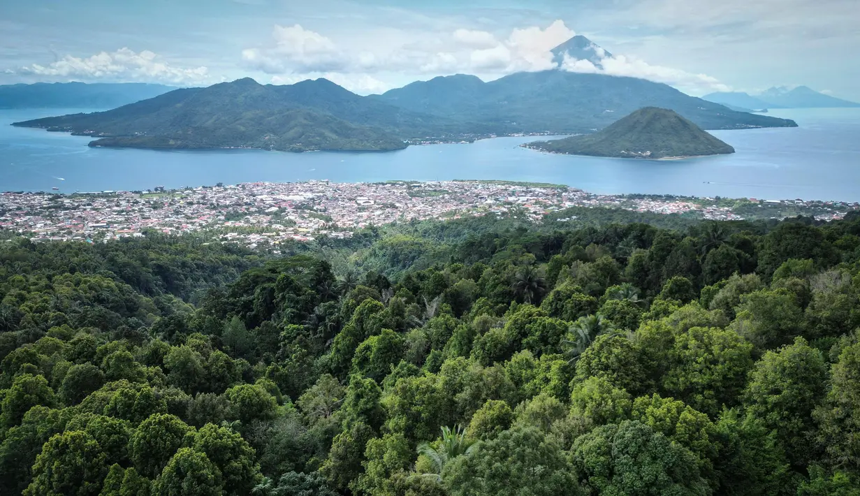 Foto yang diambil pada tanggal 11 April 2025 ini menunjukkan pemandangan dari udara dari sebuah kawasan hutan dengan pohon-pohon cengkih di Ternate, Maluku Utara. (Bagus Saragih/AFP)