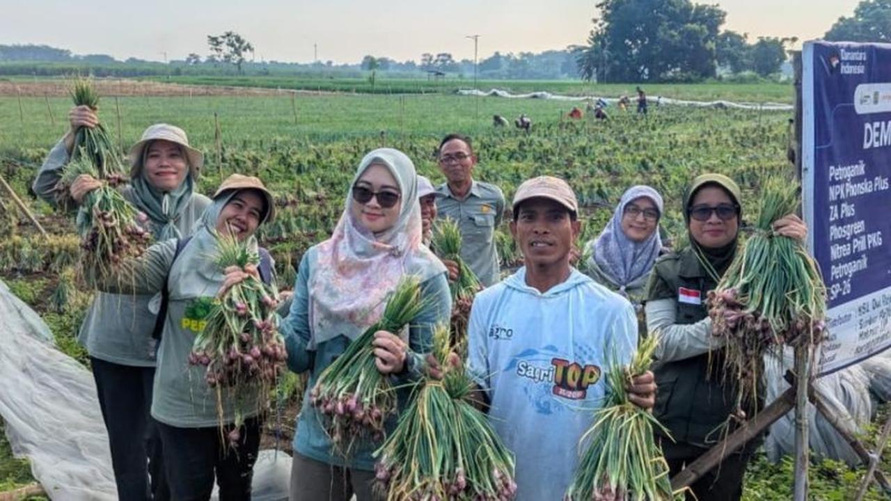 Diperta Probolinggo Dorong Peningkatan Produktivitas Bawang Merah di Tengah Cuaca Ekstrem