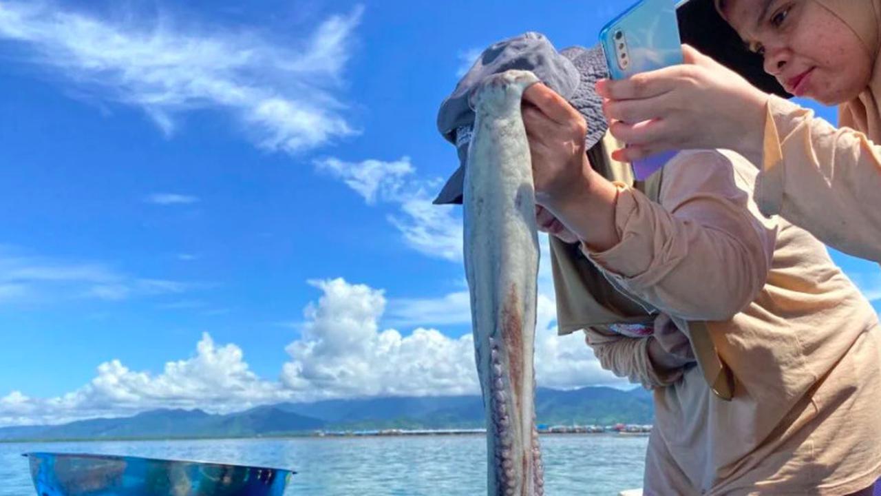 Aquaman dari Indonesia, Suku Bajo Mampu Menyelam Selama 60 Menit Tanpa Alat
