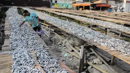 Pekerja menyelesaikan pengolahan ikan asin di kawasan Muara Angke, Jakarta, Kamis (4/7/2019). Ikan asin tersebut dijual dengan harga Rp 15 ribu hingga Rp 30 ribu per kilogram. (Liputan6.com/Faizal Fanani)