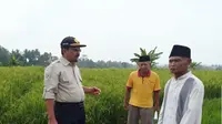 Direktur Jenderal Prasarana dan Sarana Pertanian (PSP) Kementerian Pertanian (Kementan) Sarwo Edhy.