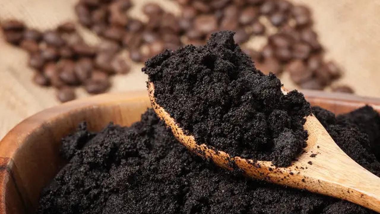Di Mana Seharusnya Buang Sisa Kopi? Begini Prosedur yang Benar Agar Tidak Bikin Mampet Saluran Air