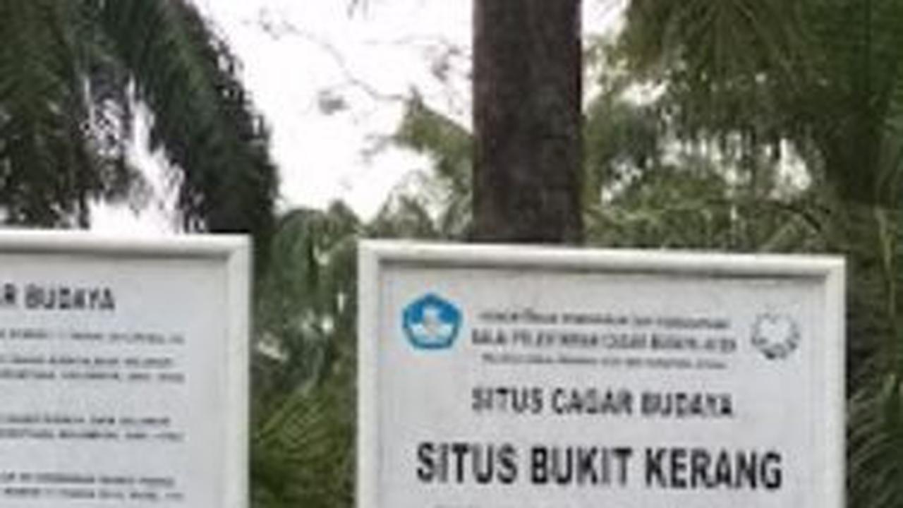 Banyak Ditemukan Sampah Molusca, Ini Fakta Menarik Situs Bukit Kerang di Aceh Tamiang