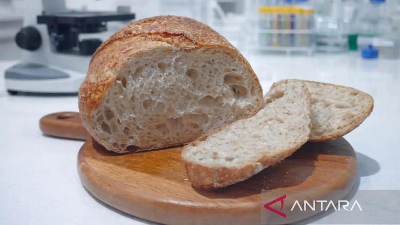 Inovasi BRIN: Sourdough Beras Merah Lokal Gunungkidul Tawarkan Manfaat Kesehatan Unik