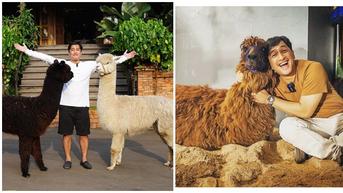 7 Potret Irfan Hakim dengan Alpaca Kesayangannya, Bikin Netizen Gemas
