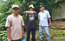 Perhatian Warga Tangerang! Jangan Konsumsi Ikan dari Sungao Cisadane Tercemar Bahan Kimia