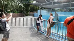 Pengunjung berpose di depan akuarium berisi lumba-lumba di Dolphin Bay, Taman Impian Jaya Ancol, Jakarta, Jumat (14/4). Wahana itu menjadi sarana edukasi sekaligus mengenalkan lebih dekat lumba-lumba kepada para pengunjung. (Liputan6.com/Faizal Fanani)