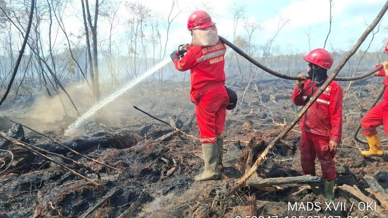 BNPB Intensifkan Penanganan Karhutla Ribuan Hektare di Tiga Provinsi Prioritas