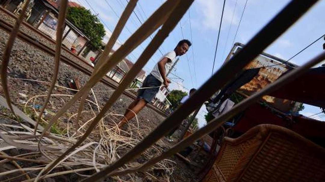 Mengais rejeki dari rotan