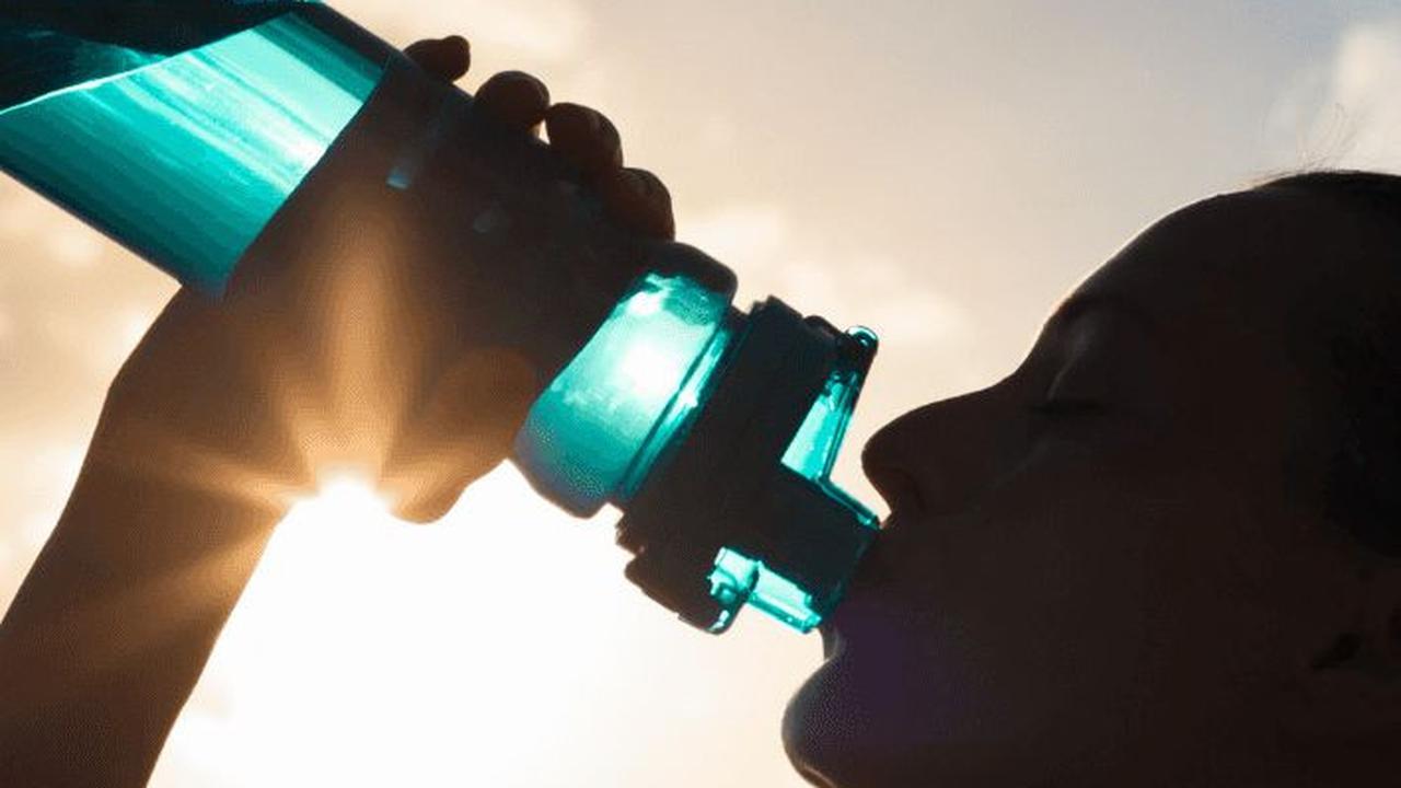 9 Minuman yang Baik untuk Tingkatkan Imun, Jaga Tubuh dari Serangan Penyakit