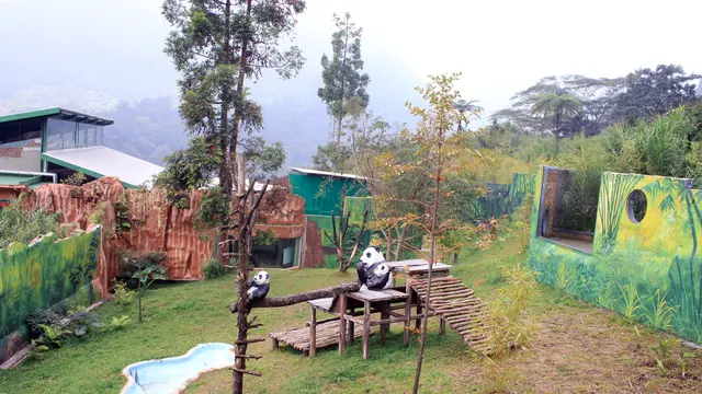 Tempat Wisata di Kota Bogor