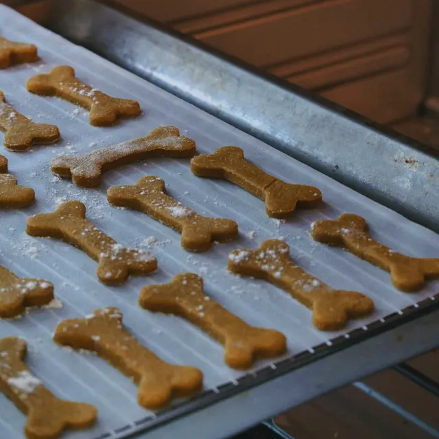 Dog Treat