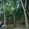 Pemanfaatan Hutan Berkelanjutan di Kaltim Hasilkan Nilai Ekonomi