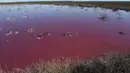Pemandangan dari laguna yang berubah menjadi merah muda karena limbah industri perikanan, di provinsi Patagonian, Chubut, Argentina, pada 23 Juli 2021. Beberapa perusahaan mengaku diizinkan untuk membuang limbah ke laguna tersebut. (DANIEL FELDMAN / AFP)