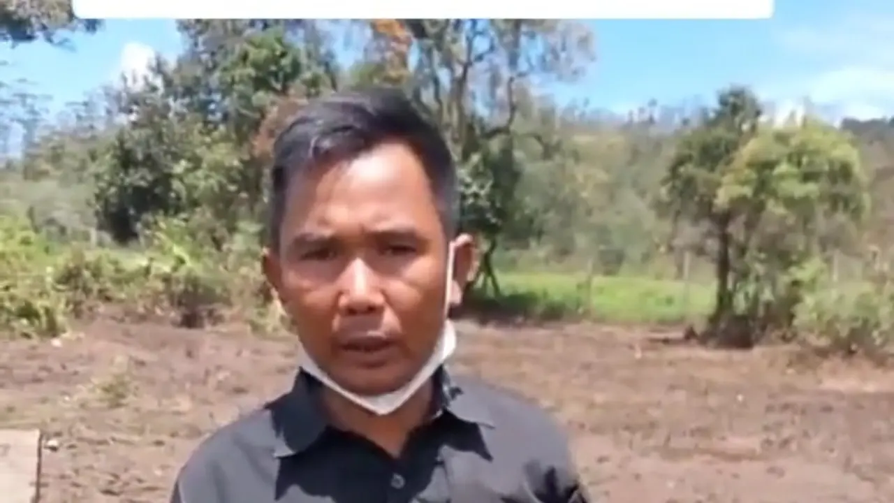 Keunikan Bunga Rawa Langka di Ranca Upas yang Dirusak Komunitas Trail