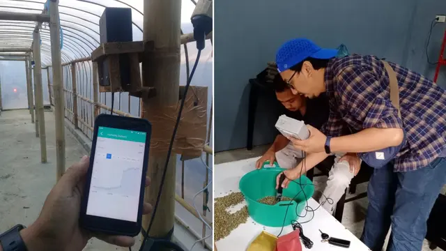 XL Axiata menghadirkan solusi IoT untuk memantau kulitas kopi pascapanen
