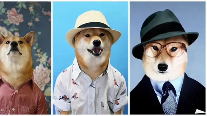 courtesy of mensweardog