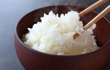 Apakah Nasi Bikin Gemuk? Ini Fakta yang Harus Diketahui