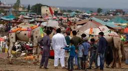 Orang-orang melihat unta-unta yang dihias di sebuah pasar ternak untuk Idul Adha di Islamabad, Pakistan, Minggu (26/7/2020). Para pedagang menghias unta agar hewan kurban yang dijualnya dilirik pembeli. (AP Photo/Anjum Naveed)