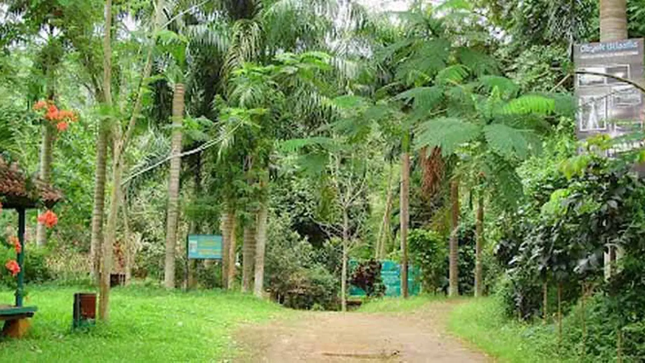 Genjot Wisata, Lampung Gelar Festival Taman Hutan Raya