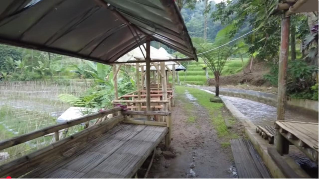 Damai dan Nyaman, Pegawai BUMN Pilih Hidup di Tengan Sawah Sambil Buka Warung Kopi