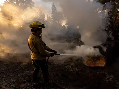 Petugas pemadam berupaya memadamkan api di lokasi jembatan yang terbakar di perbukitan Big Pines dekat Wrightwood, California. pada tanggal 12 September 2024. (ETIENNE LAURENT/AFP)