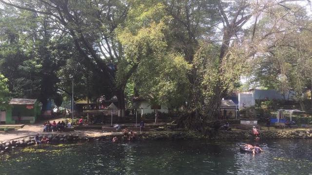 Renang Bersama Ikan Ikan Keramat Di Pemandian Banyu Biru Regional Liputan6 Com
