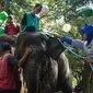 Batman ikut memandikan gajah dalam peringatan World Elephant Day di TSTJ Solo, Senin (13/8).(Liputan6.com/Fajar Abrori)