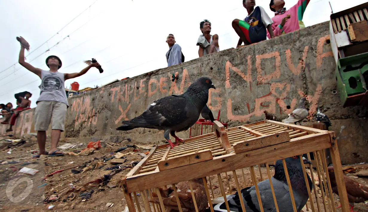 Sejumlah anak bermain burung merpati di bantaran Kanal Banjir Barat (KBB), Tanah Abang, Jakarta, Jumat (9/10). Terbatasnya ruang publik menyebabkan anak-anak tersebut terpaksa bermain di bantaran kanal. (Liputan6.com/Immanuel Antonius)