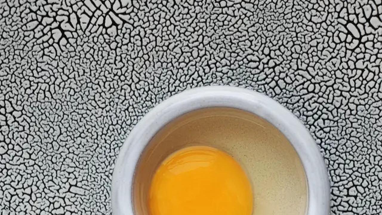 Kuning Pucat atau Jingga Terang, Ini Fakta Mengejutkan Tentang Kuning Telur yang Harus Kamu Ketahui