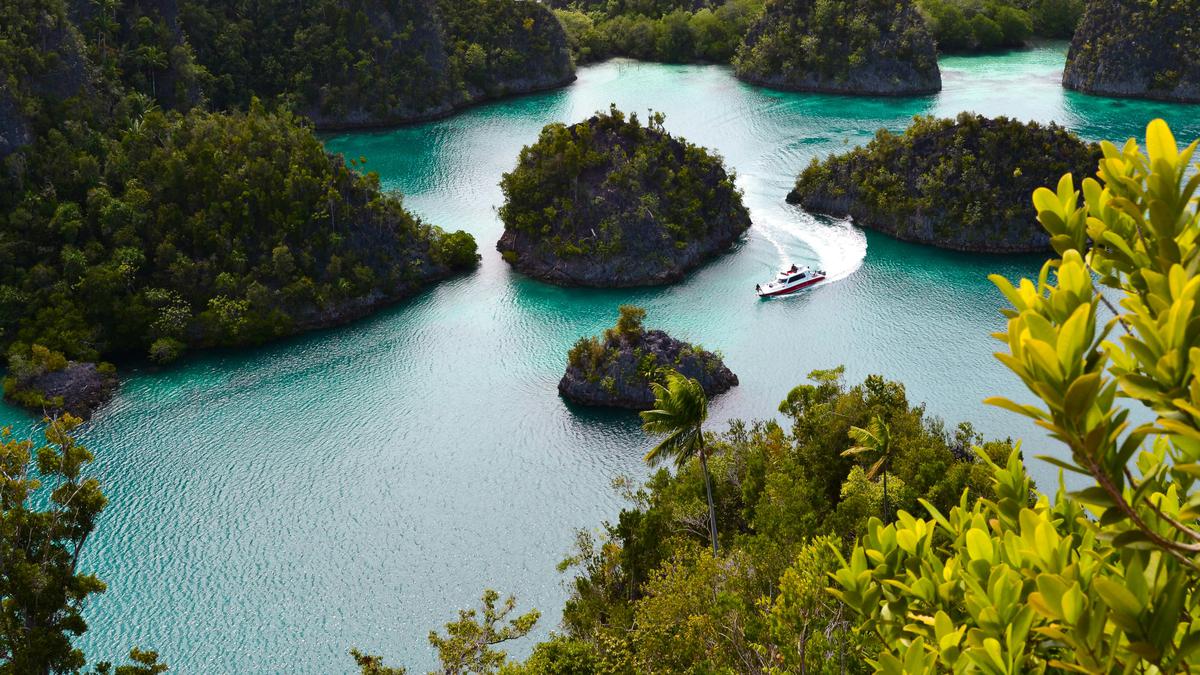 Menhut Tinjau Ulang 2 Perusahaan Tambang di Raja Ampat Papua yang Punya Izin PPKH