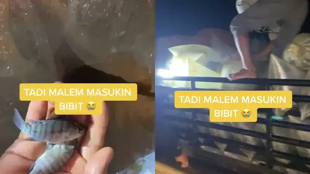 Kerugian pengusaha budidaya ikan menimpa sebuah keluarga lantaran tambaknya dilanda banjir.