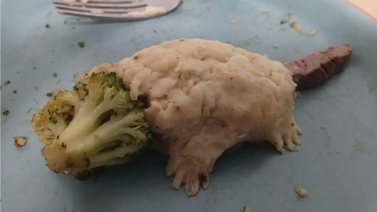 6 Potret Makanan Ini Punya Wujud Menakutkan Ketika Mau Dimakan, Bikin Geli