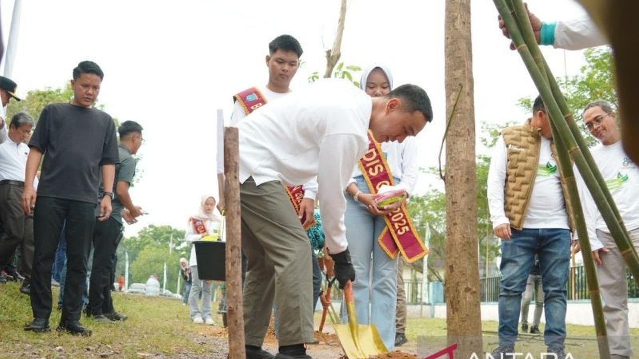 Cantik dan Tahan Cuaca Ekstrem, 300 Pohon Tabebuya Ditanam Pemkab OKI untuk Wujudkan Kota Berkelanjutan