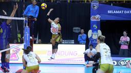 Gresik Phonska Plus Pupuk Indonesia menang dengan skor 3-1 (25-21, 16-25, 25-17, 25-19) dalam lanjutan seri tiga putaran pertama di GOR Sabilulungan Jalak Harupat, Kabupaten Bandung,  Sabtu (24/1/2026). (Dok. PBVSI)