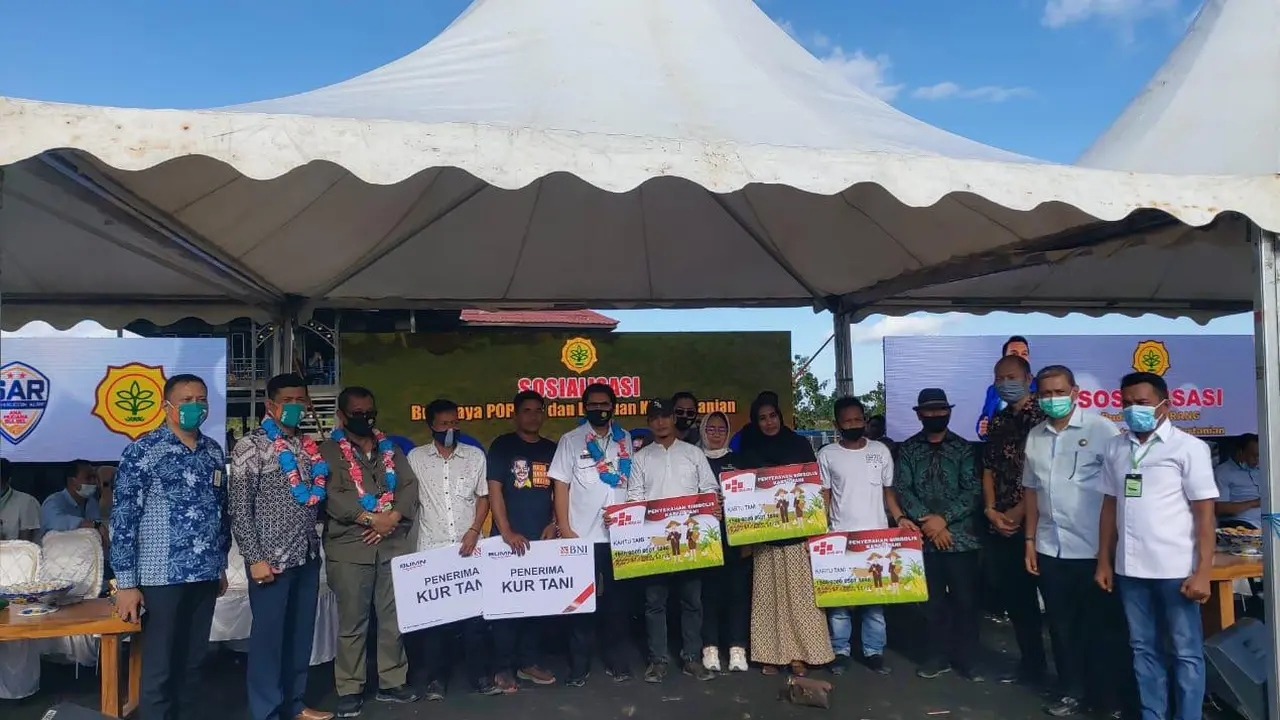 Kementan Genjot Peningkatan Nilai Tambah dengan Terus Salurkan KUR Pertanian kepada Petani