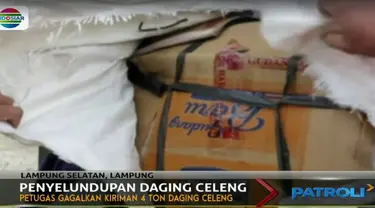 Empat ton daging celeng itu dikemas rapi dalam plastik sebelum dimasukan dalam kardus dengan ukuran bervariasi mulai 10 - 25 kg.