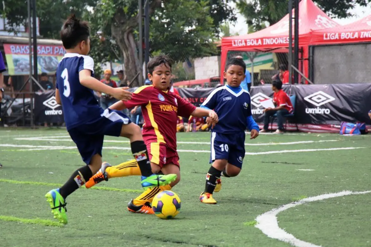 Liga Bola Indonesia 2016