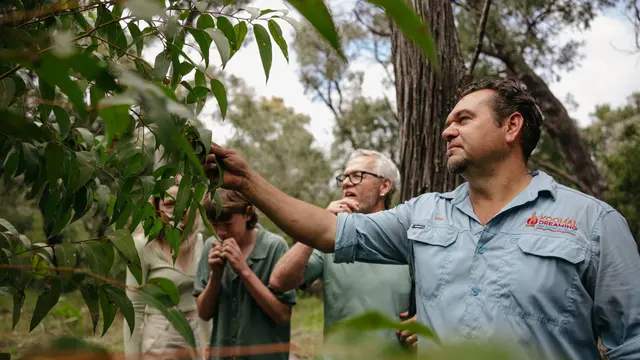 Aboriginal Food Cave and Didge Tour