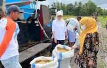 Penyerapan Gabah Beras Dalam Negeri Bulog Mencapai 30 Ribu Ton Setara GKP Perhari
