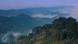 Panorama Taman Nasional Gunung Pangrango, bohor, Jawa Barat, Selasa (24/11/2015). Disini juga kita bisa menjumpai spesies kera kecil tanpa ekor dengan rambur berwarna abu - abu bernama Owa Jawa (Hylobates Moloch). (Liputan6.com/Herman Zakharia)